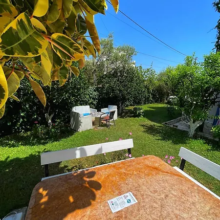Apartman Festim