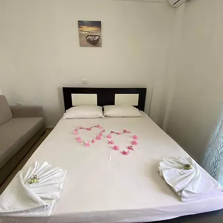 Festim * Ксамил